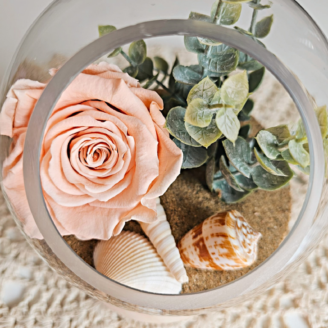 Tout savoir sur la rose éternelle