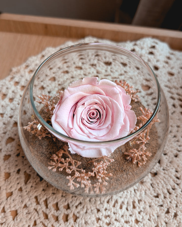 Arrangement prêt à offrir - Gypsophile rose