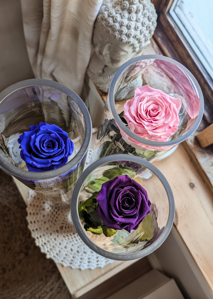 Arrangement floral - Rose éternelle sur tige