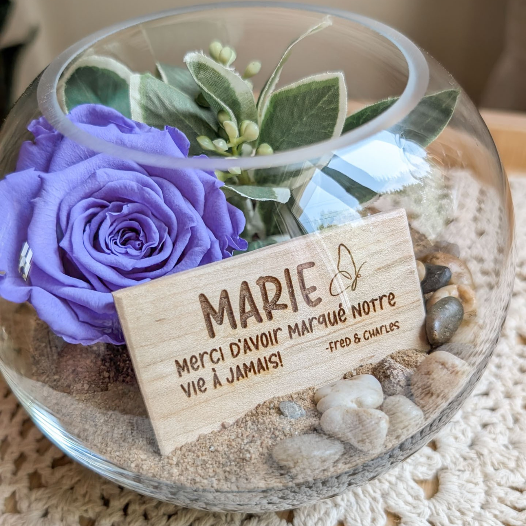 Arrangement avec rose éternelle violette et plaque gravée d’un papillon, offert en cadeau pour remercier un professeur.