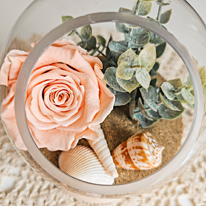 Rose éternelle pêche dans un vase de verre, décoration florale lumineuse avec coquillages.